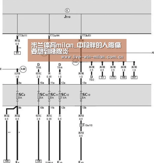 米兰体育官网