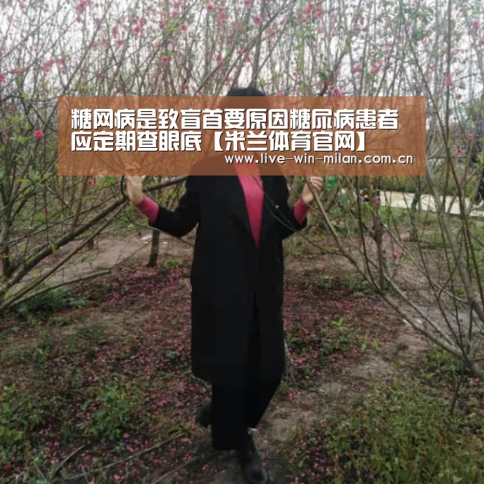 米兰体育官网