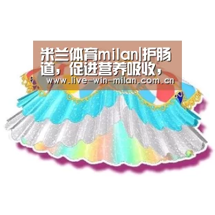 米兰体育官网